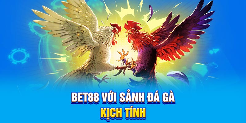 BET88 với sảnh đá gà kịch tính