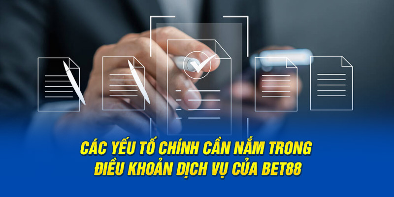 Các yếu tố chính cần nắm trong điều khoản dịch vụ của BET88