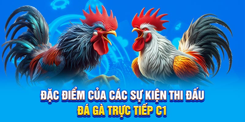 Đặc điểm của các sự kiện thi đấu đá gà trực tiếp C1 