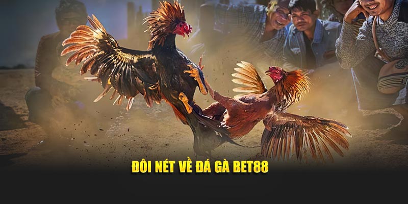 Đôi nét về đá gà Bet88