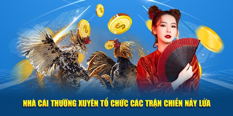 Nhà cái thường xuyên tổ chức các trận chiến nảy lửa 